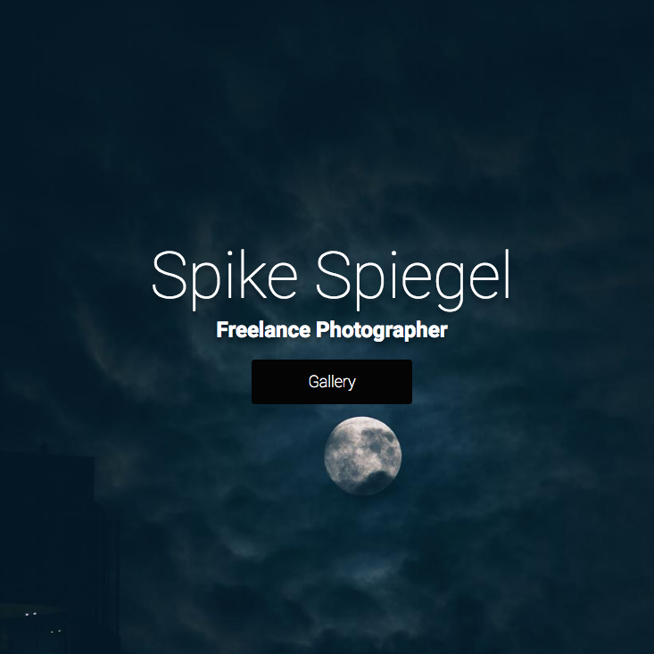 Codecademy Project Website